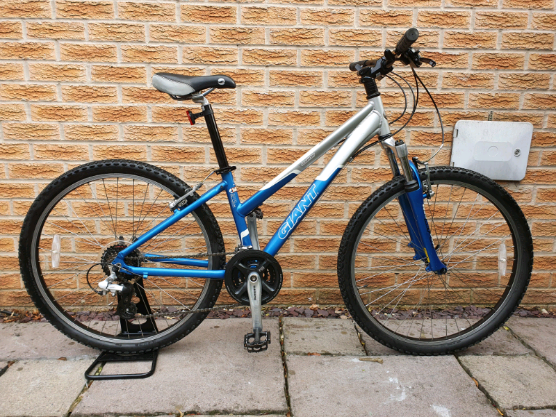 giant boulder mountain bike 2006